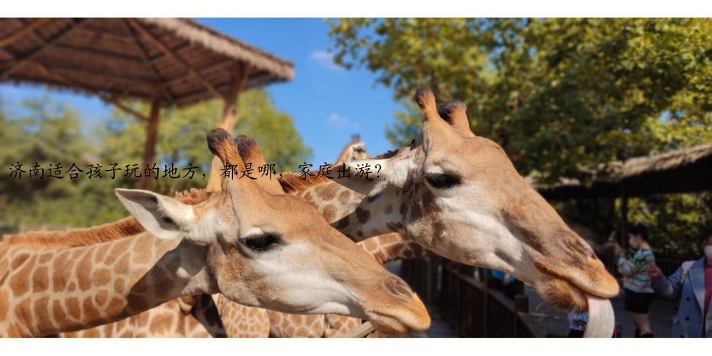 济南适合孩子玩的地方，都是哪，家庭出游？