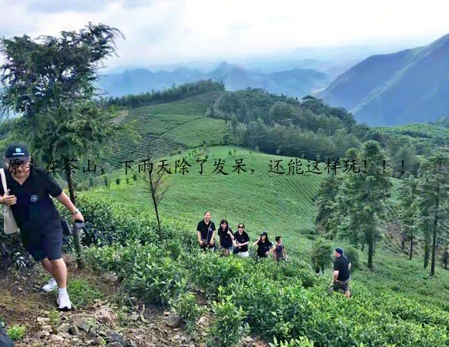 原来在茶山，下雨天除了发呆，还能这样玩！！！